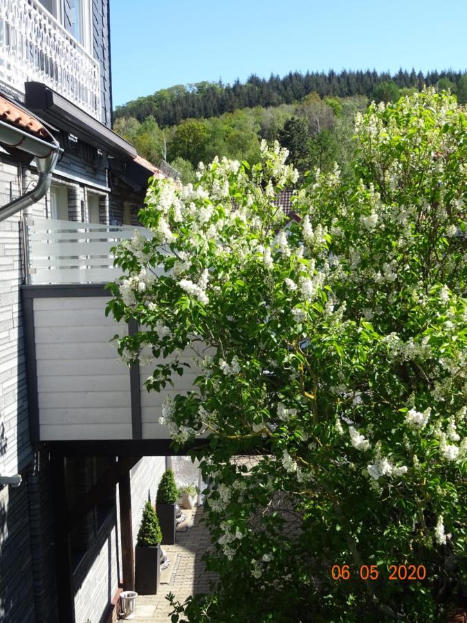 Fewo Hage Langelsheim Esterno foto