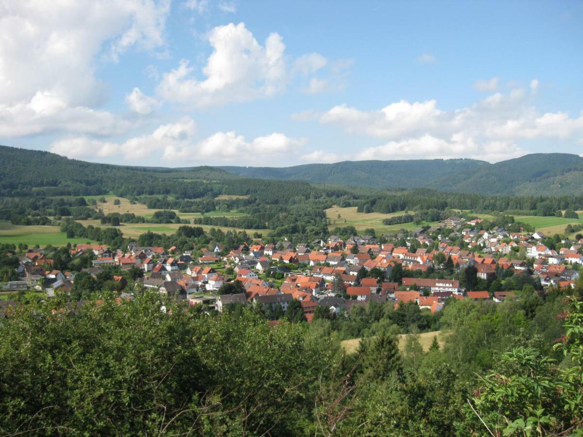 Fewo Hage Langelsheim Esterno foto