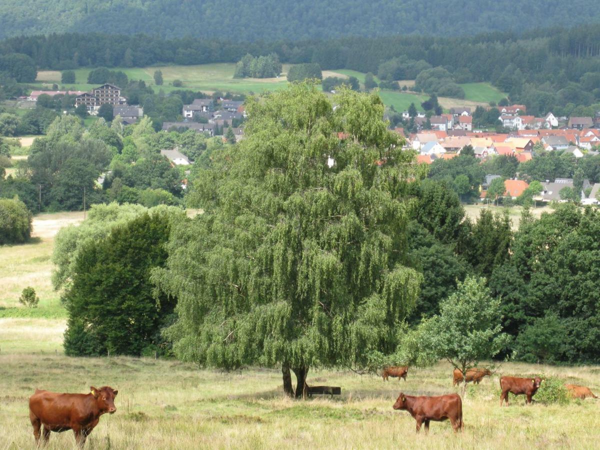 Fewo Hage Langelsheim Esterno foto