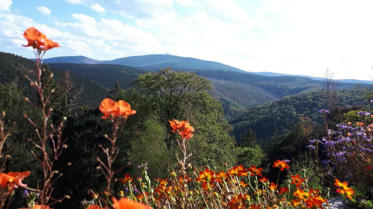 Fewo Hage Langelsheim Esterno foto